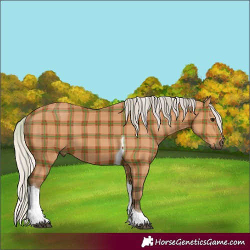 Horse Color:Plaid  Silver Bay Tobiano 