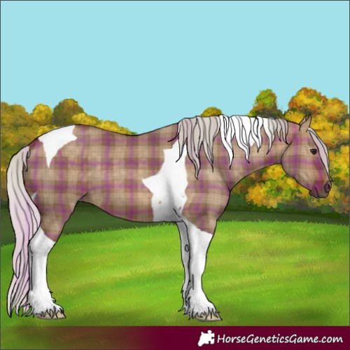 Horse Color:Plaid  Silver Brown Dun Tobiano 