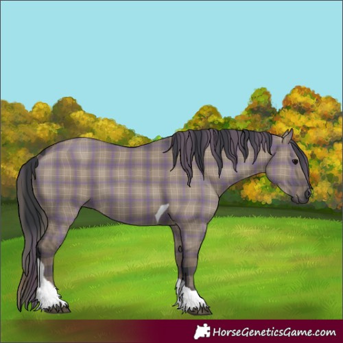 Horse Color:Plaid  Grullo Tobiano 