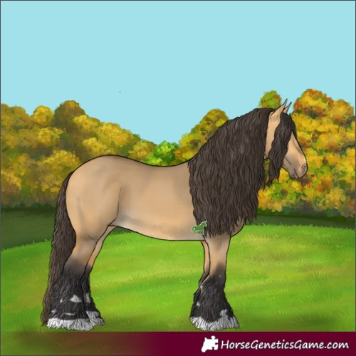 Horse Color:Buckskin Dun 