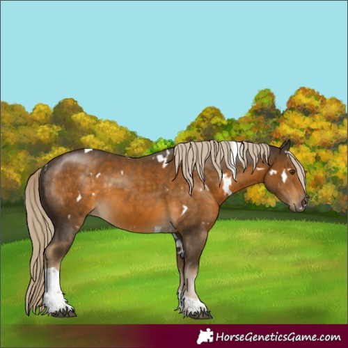 Horse Color:White Spotted Chocolate Palomino Mushroom Tobiano 