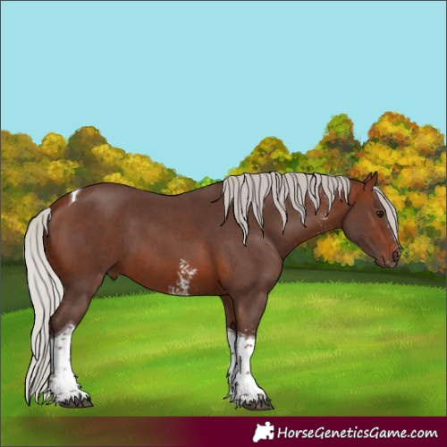 Horse Color:Silver Brown Sabino Tobiano 