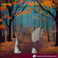 Horse Color:Silver Brown Tobiano