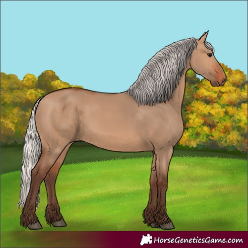 Horse Color:Silver Bay Dun 