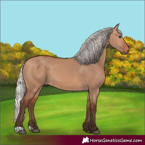 Horse Color:Silver Bay Dun