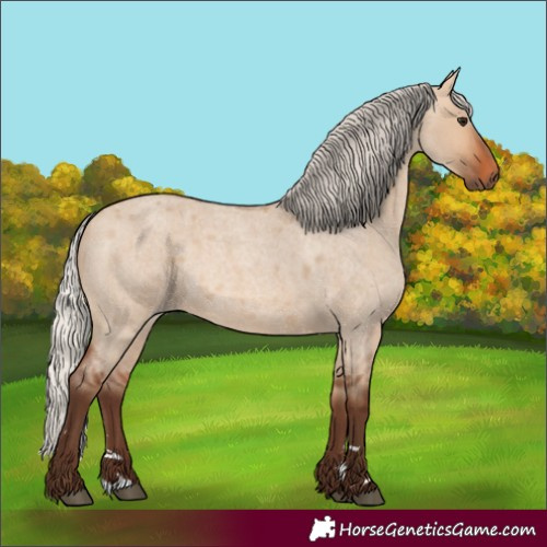 Horse Color:Silver Bay Roan Dun 