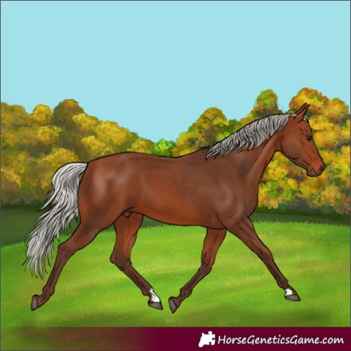 Horse Color:Silver Brown