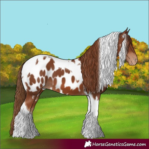 Horse Color:Chestnut Tobiano Near Leopard 