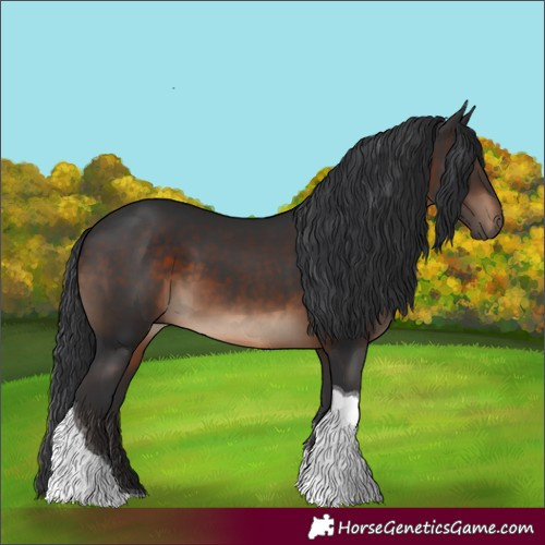 Horse Color:Brown Tobiano