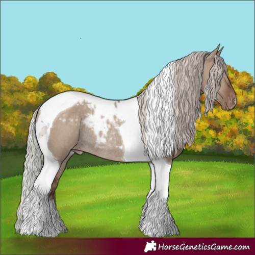 Horse Color:Silver Grullo Tobiano Skewed Appaloosa Rabicano 