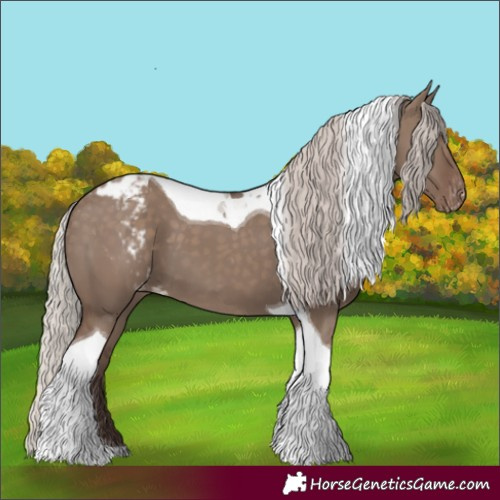 Horse Color:Silver Grullo Tobiano Skewed Appaloosa 