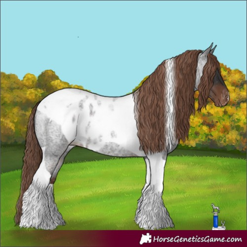 Horse Color:Liver Red Roan Tobiano Skewed LP Spotted