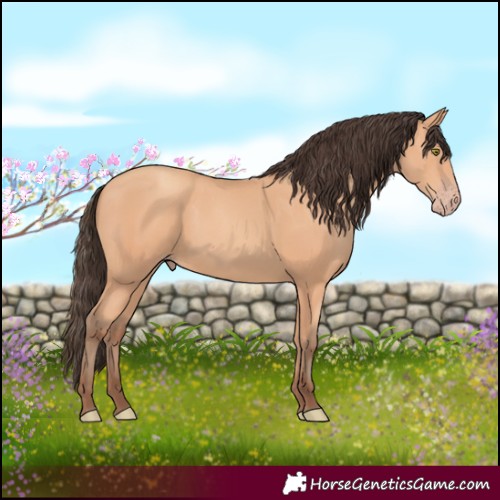Horse Color:Amber Champagne 