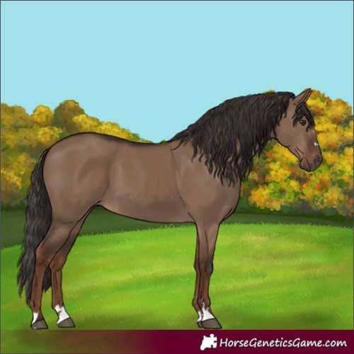 Horse Color:Liver Red Dun 