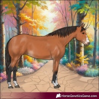 Horse Color:Bay 
