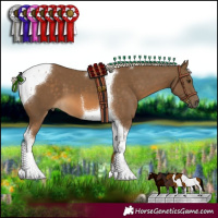 Horse Color:Chocolate Palomino Tobiano