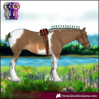 Horse Color:Chocolate Palomino Tobiano 
