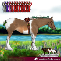 Horse Color:Chocolate Palomino Tobiano 