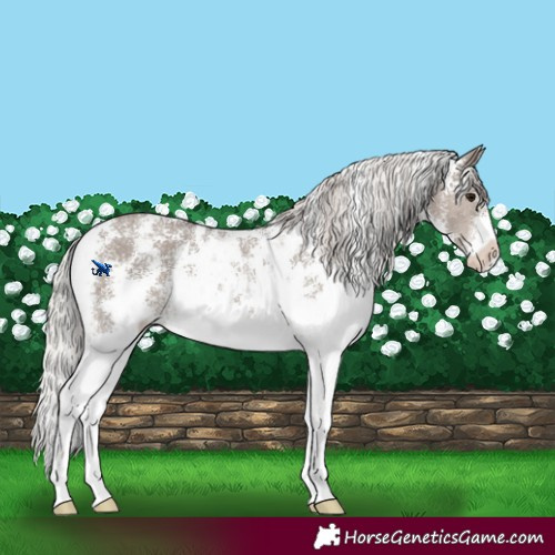 Horse Color:Silver Grullo Sabino 