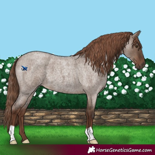 Horse Color:Liver Red Dun Roan 