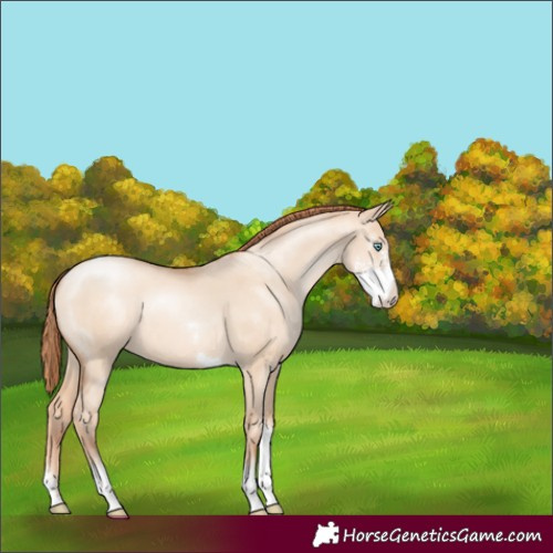 Horse Color:Sable Champagne Pearl Dun Sabino Tobiano 