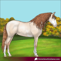 Horse Color:Sable Champagne Pearl Dun Sabino Tobiano 