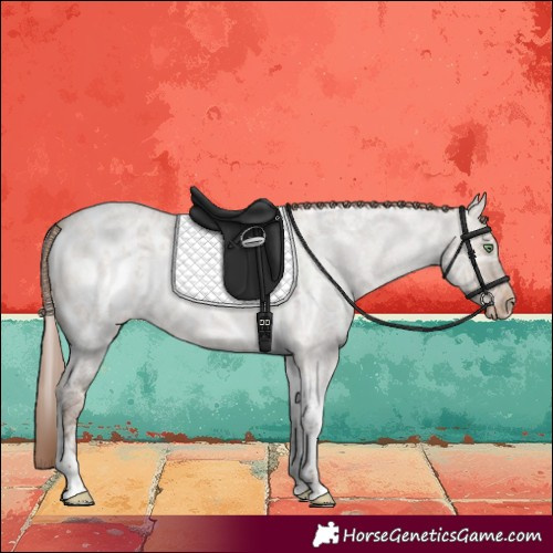Horse Color:Amber Champagne Ice Roan Dun Tobiano Skewed LP Spotted 