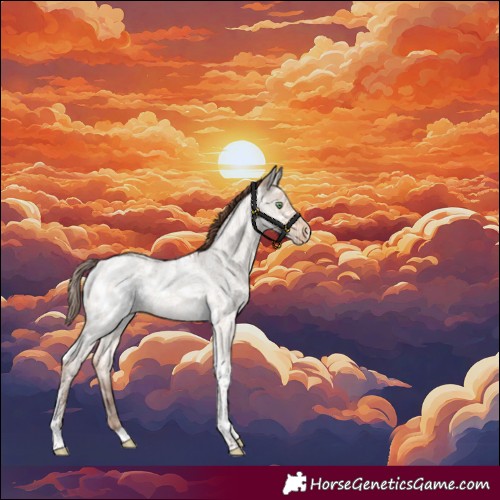 Horse Color:Amber Champagne Ice Roan Dun Tobiano Skewed Appaloosa 