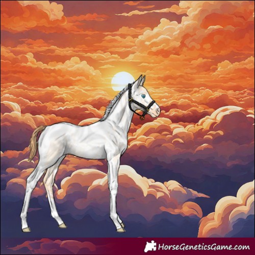 Horse Color:Amber Champagne Roan Pearl Dun Tobiano Skewed Appaloosa Rabicano 