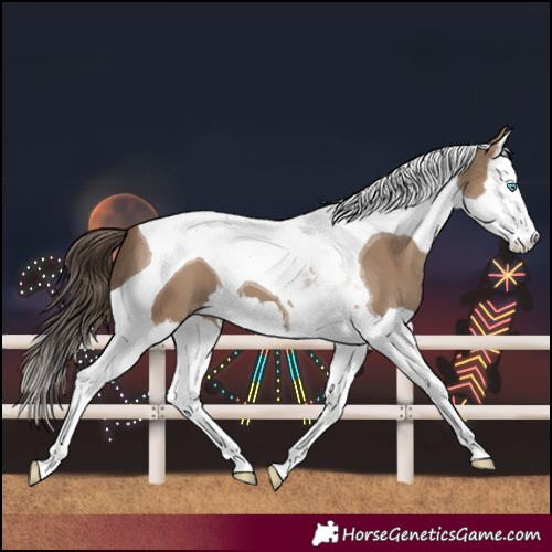Horse Color:Classic Champagne Splash Tobiano