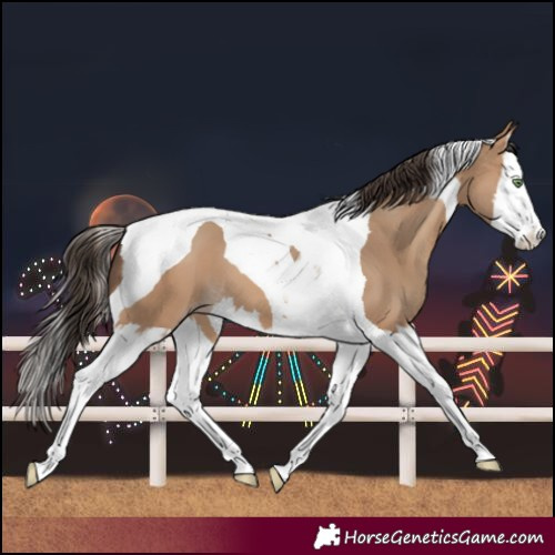 Horse Color:Amber Champagne Splash Tobiano