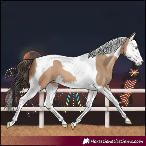 Horse Color:Amber Champagne Splash Tobiano