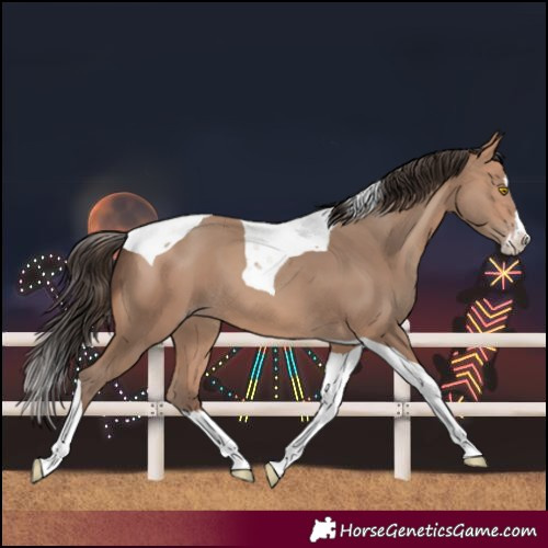 Horse Color:Amber Champagne Splash Tobiano 