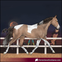 Horse Color:Amber Champagne Splash Tobiano