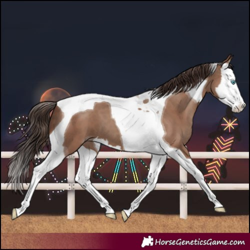 Horse Color:Classic Champagne Splash Tobiano