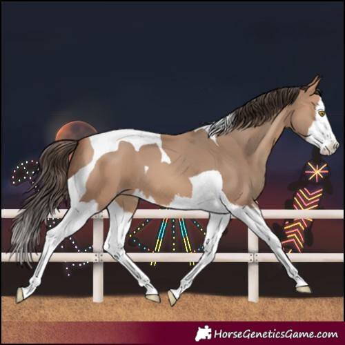 Horse Color:Amber Champagne Splash Tobiano 