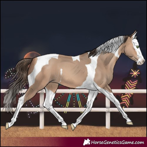 Horse Color:Amber Champagne Splash Tobiano 