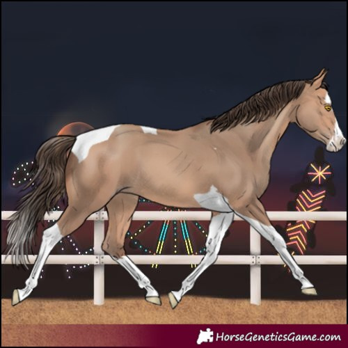 Horse Color:Amber Champagne Splash Tobiano