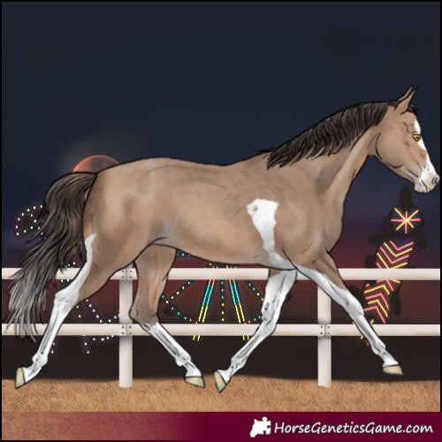 Horse Color:Sable Champagne Splash Tobiano