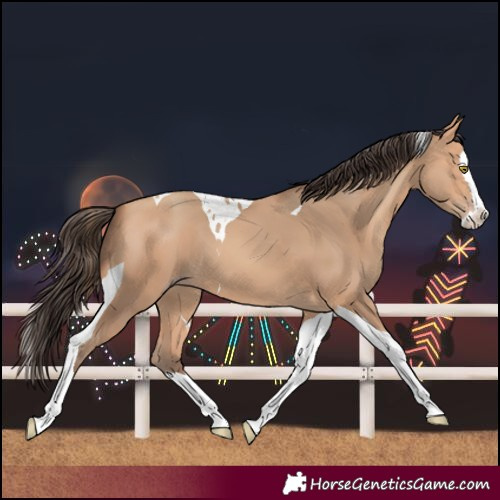 Horse Color:Amber Champagne Splash Tobiano 