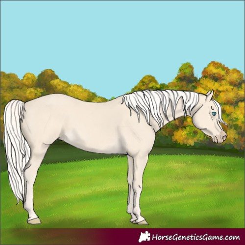 Horse Color:Cremello