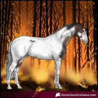 Horse Color:Brown Tobiano Frame Varnish