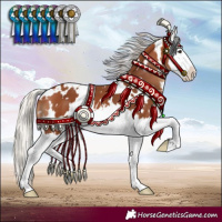 Horse Color:White Spotted Silver Bay Splash 