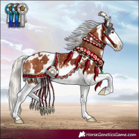 Horse Color:White Spotted Silver Bay Splash