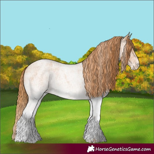 Horse Color:White Spotted Red Roan