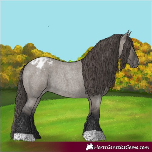 Horse Color:Grullo Roan Appaloosa Rabicano 