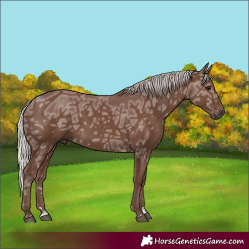Horse Color:Silver Black Ice