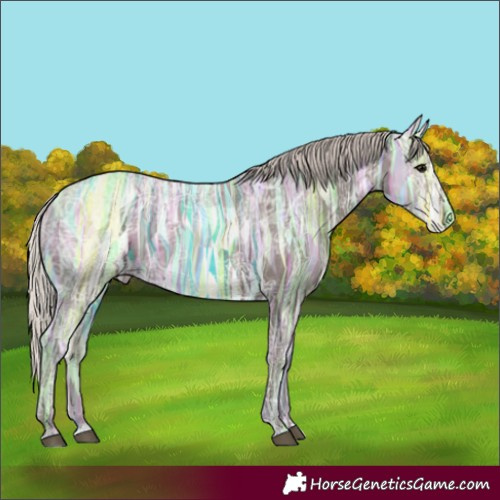 Horse Color:Silver Black Ice 