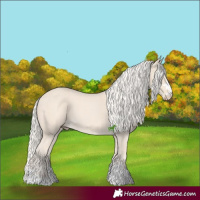 Horse Color:Cremello