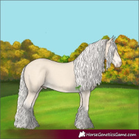 Horse Color:Cremello 